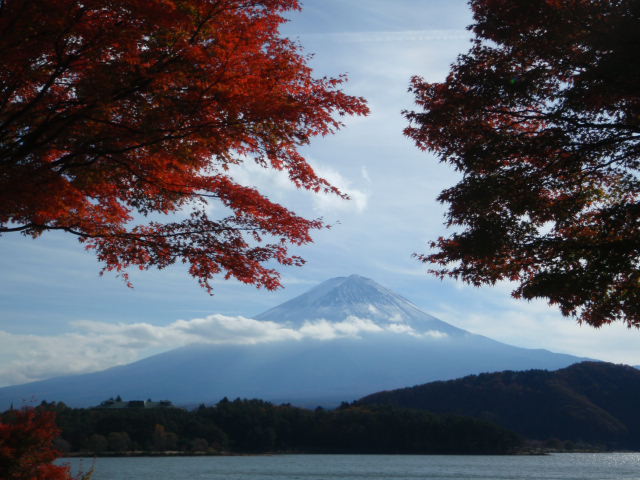 モミジのトンネルからの富士山