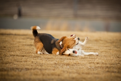 20120306_173608 (1).jpg