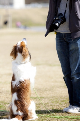 20120311_134221.jpg