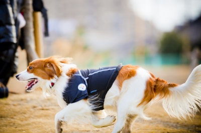 20120311_152345.jpg