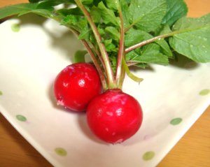 家庭菜園