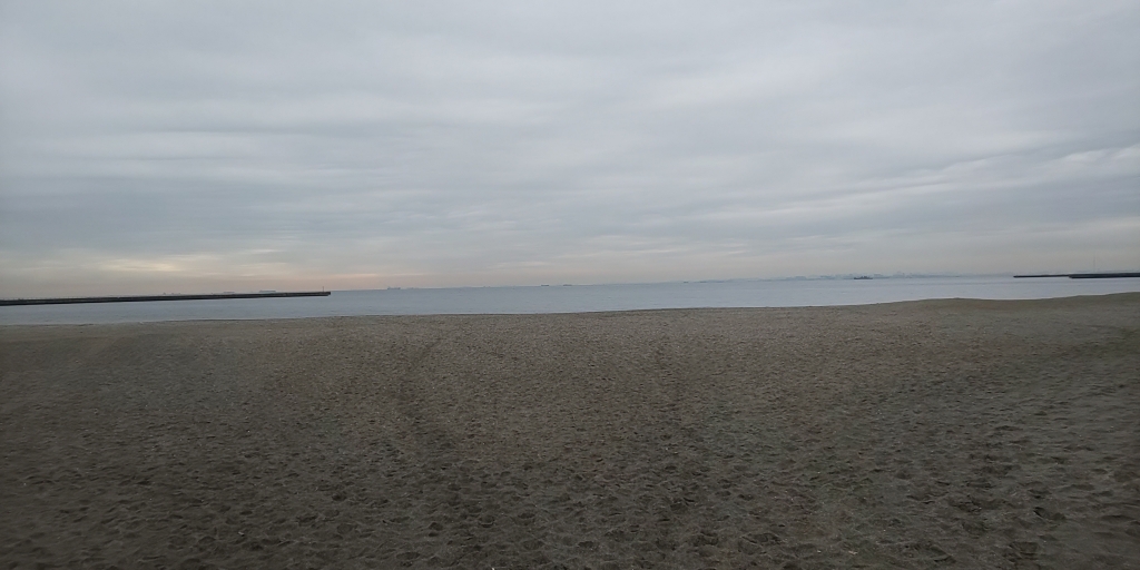 DSC_0910.JPG
