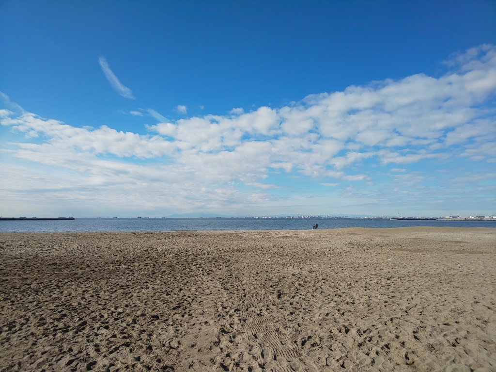DSC_2981.JPG