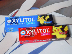 ¥Ý¥±¥â¥ó¡¡XYLITOL