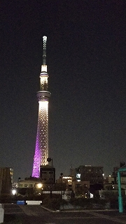 写真13.jpg