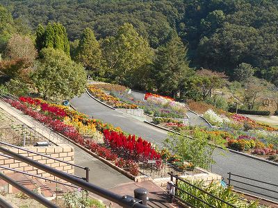 写真24.jpg
