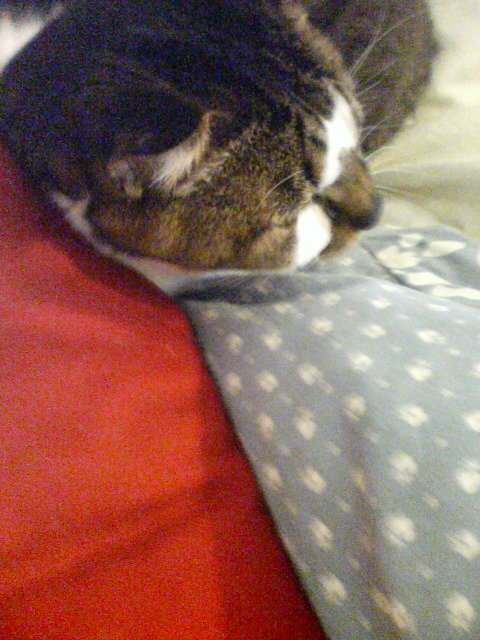 20090430083316.jpg