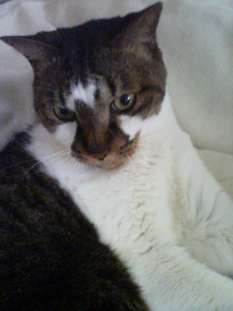 20090609082836.jpg