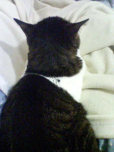 20090611081909.jpg