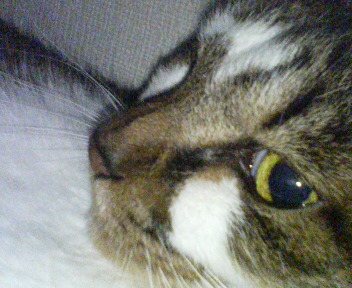 20090702012044.jpg