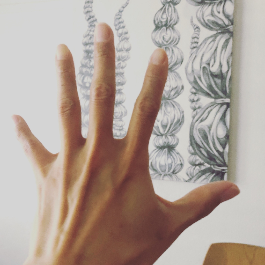 KYOTARO | information