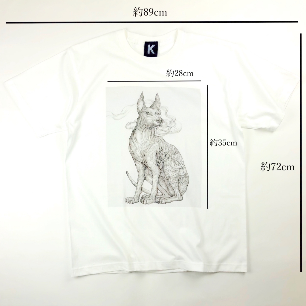 KYOTARO | information