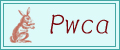 pwcaバナー.jpg