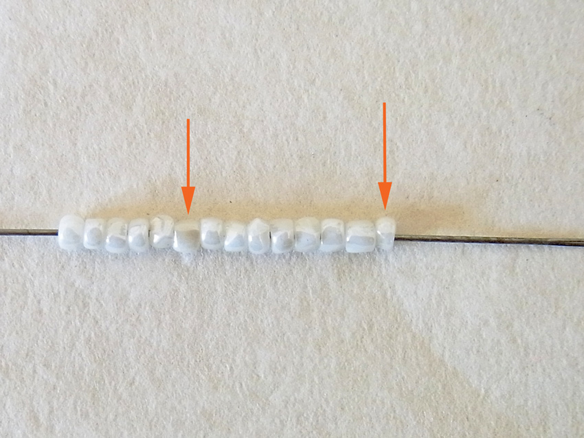 R8052998.jpg