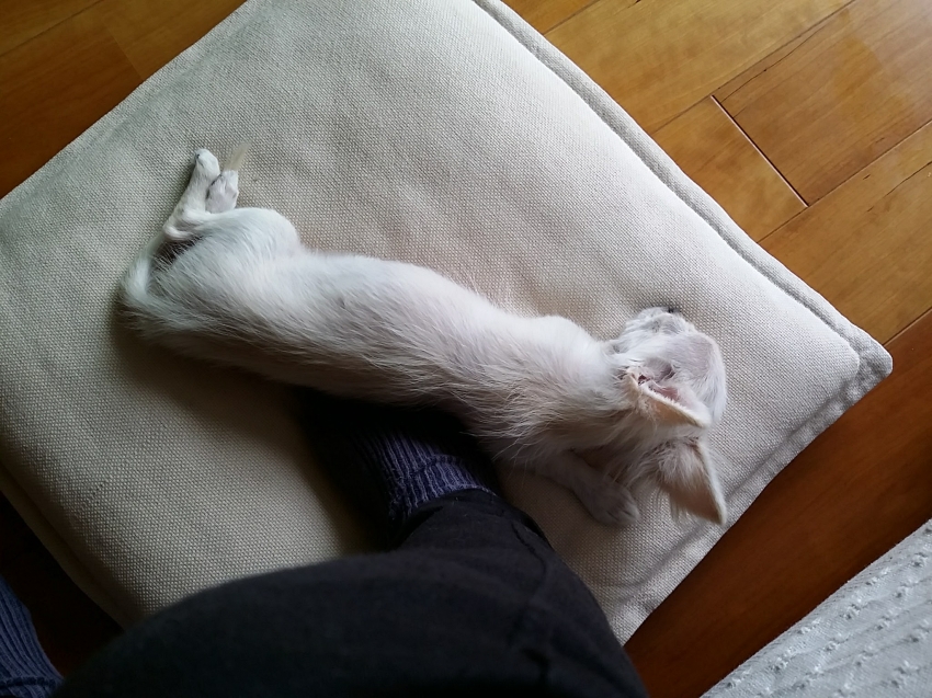 20170920_115759.jpg
