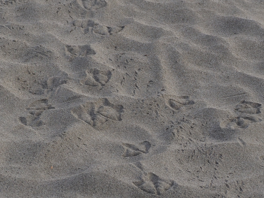 P7105569.JPG