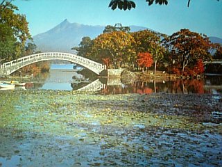 081108_100333_ed.jpg
