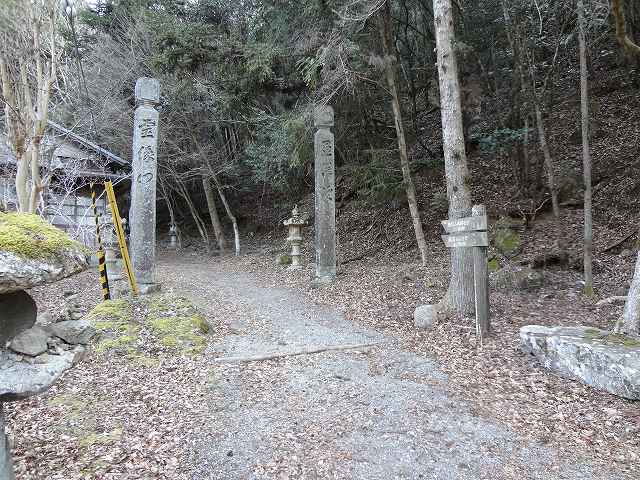 c 008.jpg