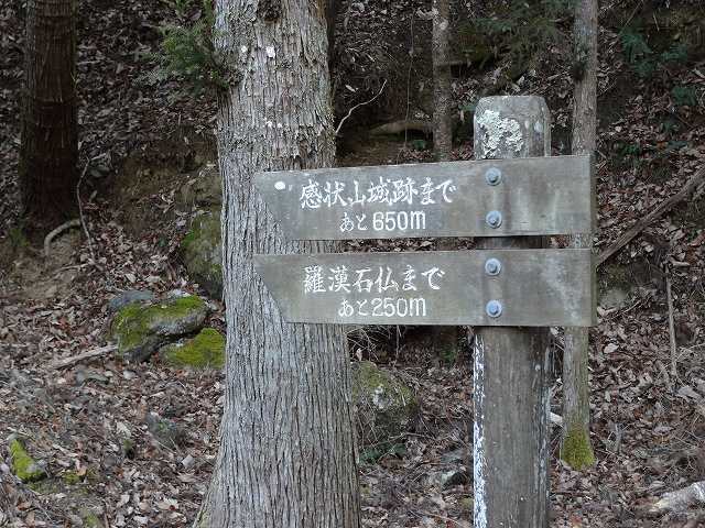 c 009.jpg
