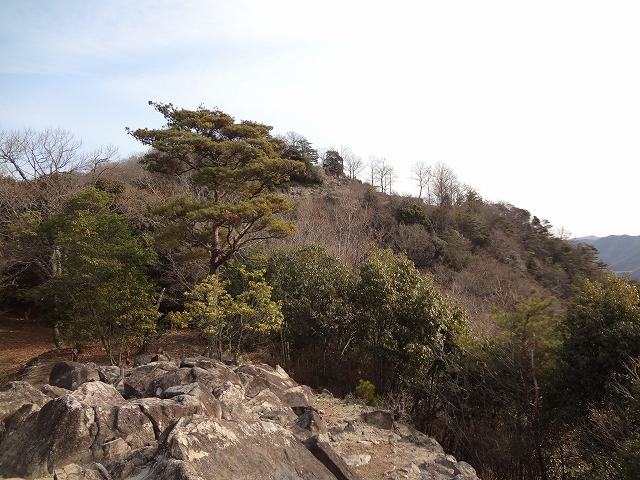 c 012.jpg