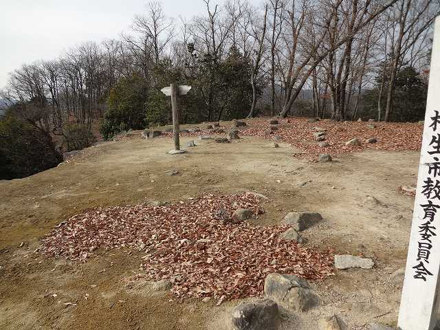 c 016.jpg