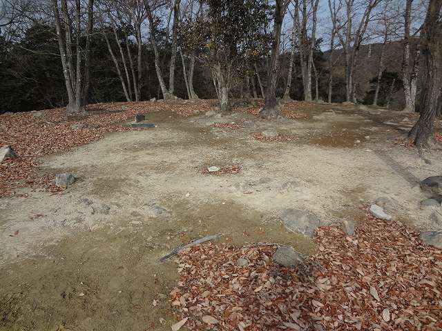 c 017.jpg