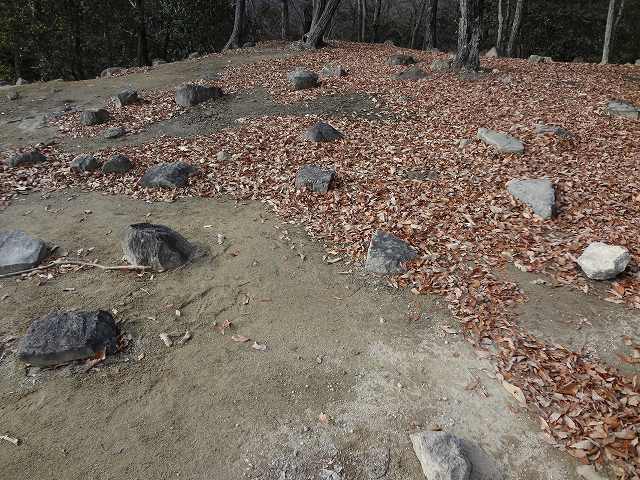 c 019.jpg
