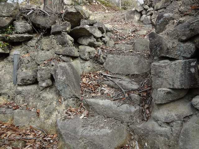 c 049.jpg