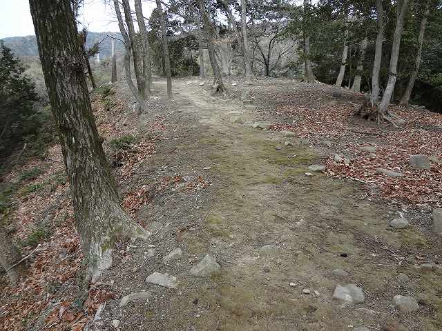c 055.jpg