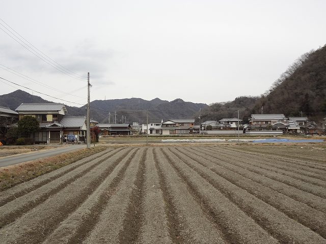 c 058.jpg