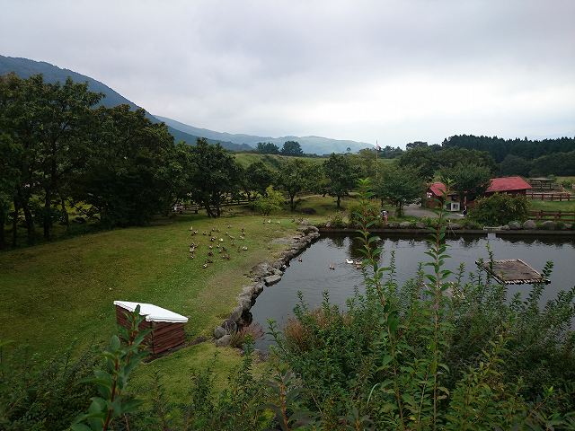 DSC_0229.jpg