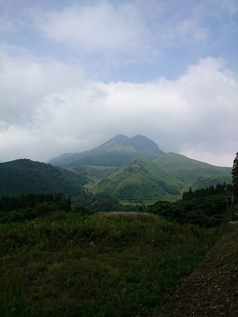 DSC_0234.jpg