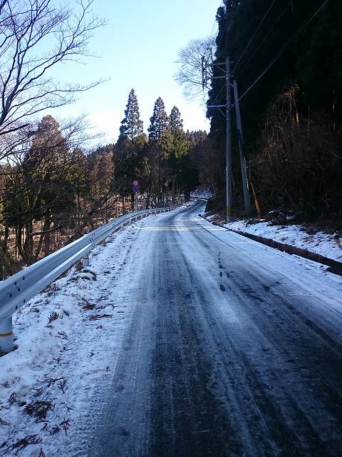 DSC_0254.jpg