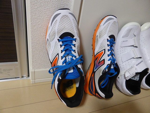 P1010015.jpg