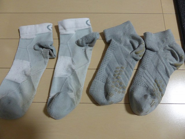 P1010020.jpg