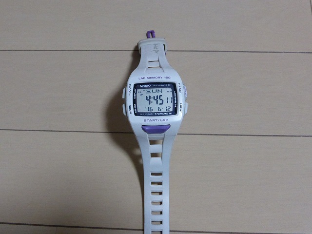 P1010029.jpg