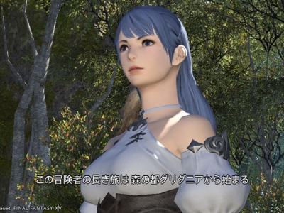 FF14_seika