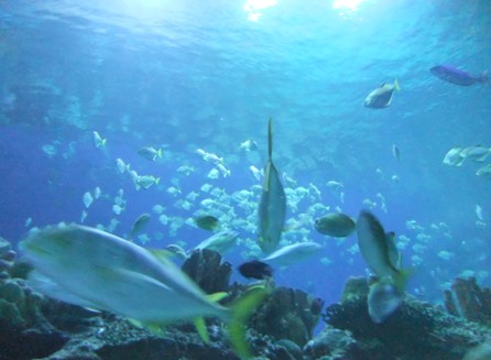 DSCF9498.jpg