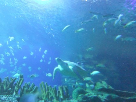 DSCF9502.jpg