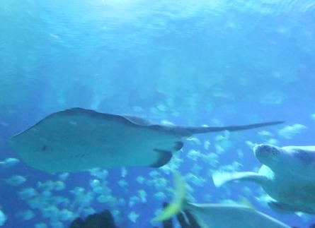 DSCF9505.jpg