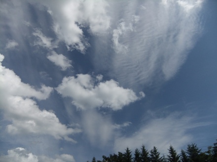 DSCF9663.jpg