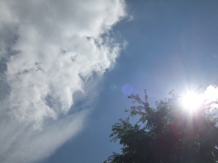DSCF9666.jpg
