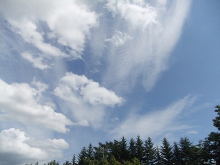 DSCF9667.jpg