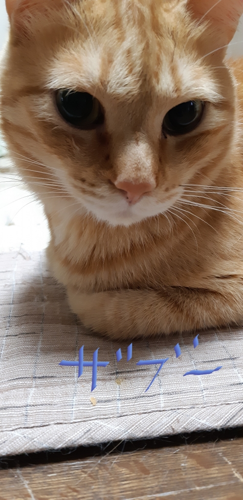 20190922_075847.jpg