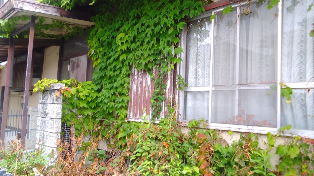 家の周りの草引きと処分 壁のツタの撤去 姫路便利屋のページ