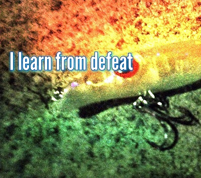 20190715_154728.jpg
