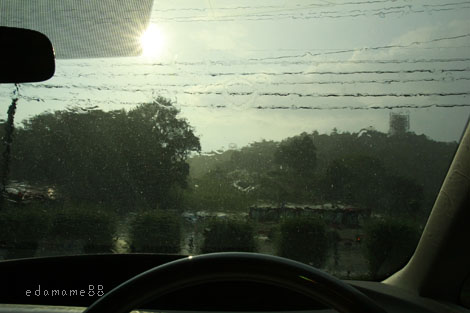 2011_08_27_4254.jpg