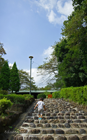 2011_09_10_4378.jpg