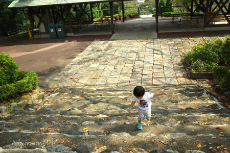 2011_09_10_4379.jpg
