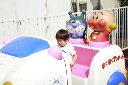 2011_09_10_4382.jpg